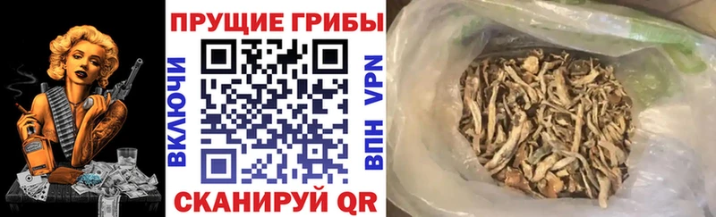 мега онион  Ханты-Мансийск  darknet наркотические препараты  Псилоцибиновые грибы прущие грибы 